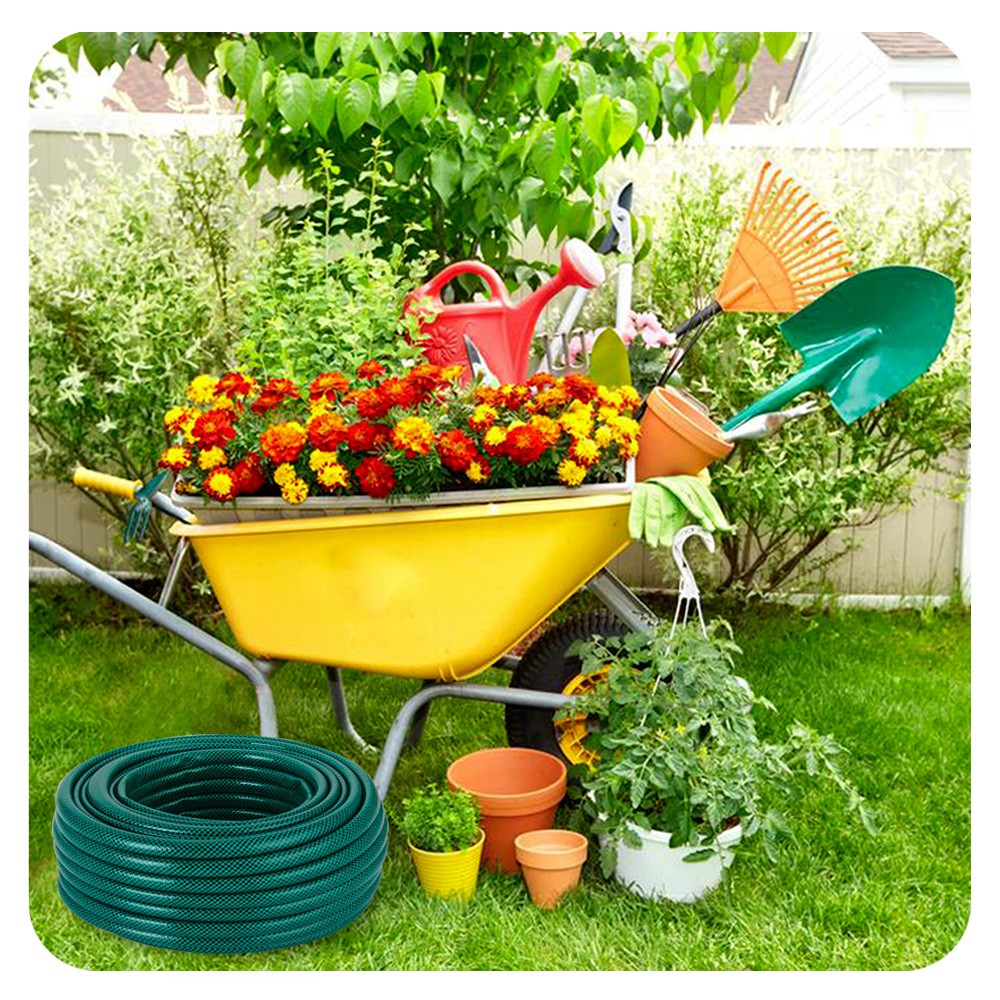 ���� �� 31 ���. ������� ������� ������� - �����������, ������, ������, �����, � �ӣ ���������! 26.  