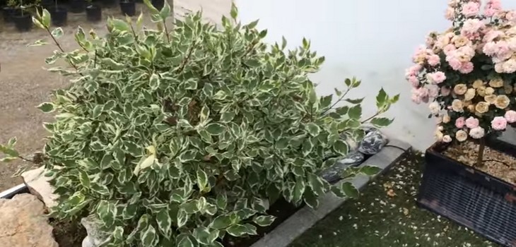 ��������! ����� ����� �������� ��������� - ������� ��� ��������� ������� ��� ����� ��������! � �������� 13��!