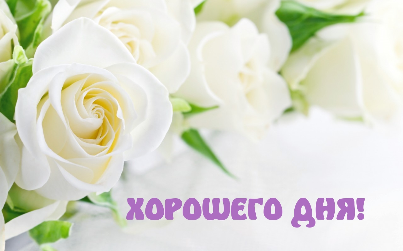 ������� 19.05. ��� ��! �������� ��� ���� ��, �ӣ � �������. ��������- ���������� �����, ������, �������, ��������� � ����