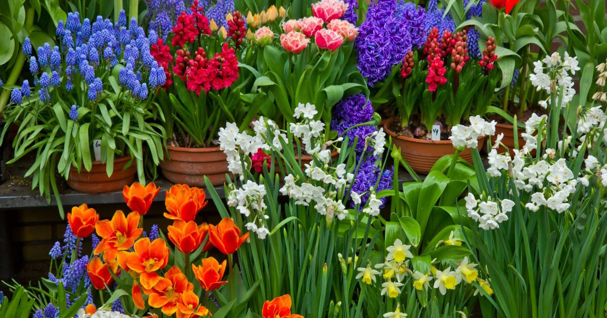 ���������� �� ����� 2018�. ��������, ��������, ��������, �����, ����� � ������ ������