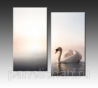 [b] ���� �� 16 ����. ��������� ������� �� ��������� ����������: �����, �������  [b]