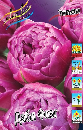 ���� �������. ���������� ����� 2018.