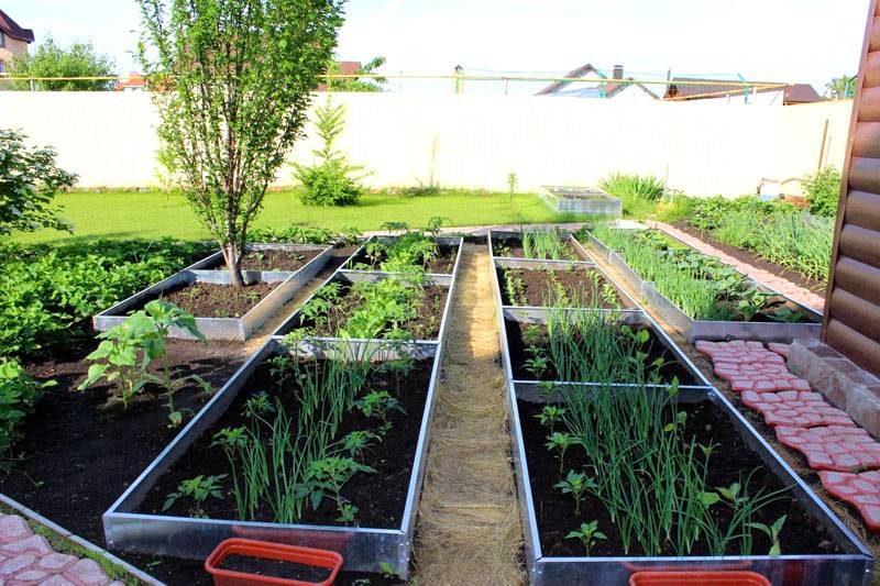 ���� �� 28 ���. ���������� ��� ������ � �����, ��������� ������� - �����������, �������, �������! ������� ������, ����� �� ������������ ������. ����� 5-18. 