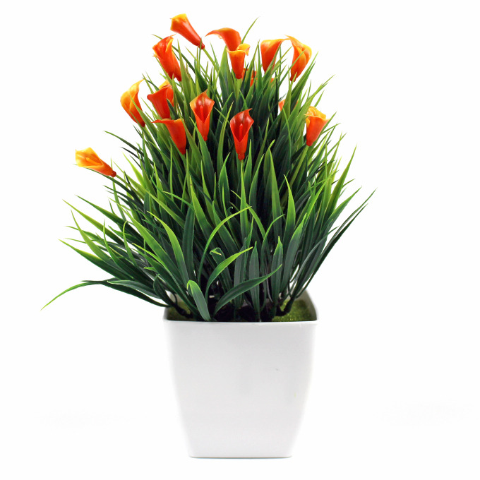 ���� �� 31.05.18. ���������� �������, ��� ��� ����, ������� �����, ��� ����, ���������, ��� � ����� �����!!!�������� ����� ��������, ��������� �� Re***me***co! �����, ������, ��������, ��������, �������� ���������, ��������� � ������ ������.