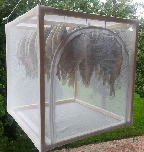  ���� �� 29 ���. �������� ������� ��� ���� ideaFisher � ������ ���������� ��� ��������� �������