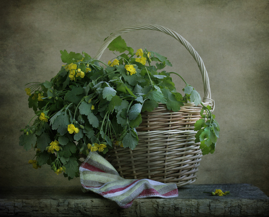 �������� - ��� ����� � ���� �����...