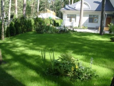 ���� �� 25 ���. ���������������� � ����� ��������� ������. ��������� ����, ������������, ��������, �����. 4-18