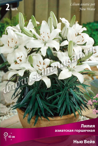 ���� ������� �� 03.06--- ��� �����!- ���������� ����� 2018-- ��������� ����� - �����, ��������, �����, ����� ������� ������ �������� � ������ ������