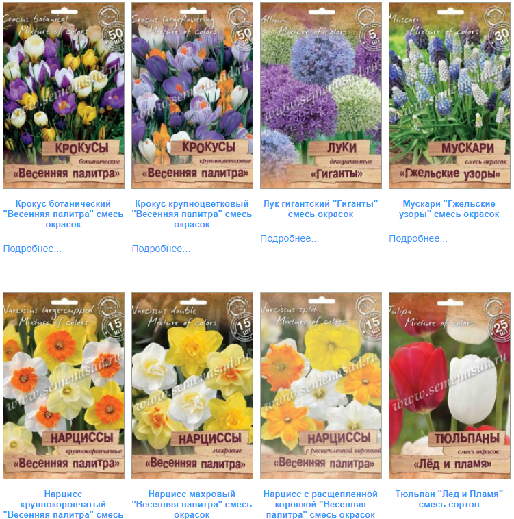 �������� �����-������ � ���������!