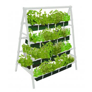 ���� �� 5 ����. ������� ���� - ��� ������ ������! ��������, ������� ������ � ��������, ������� �����. ����� 3-18