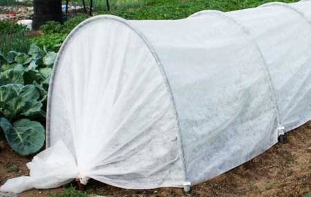 ���� ������� �� 25.05 �������, �������, ��������� �����, �������� ��������, ��������� ������ � �� �� ������������� �����*��-3