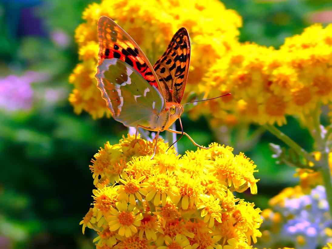 �������.��-103,104,���.��.8 �����,���@-55,��.��-30%-3