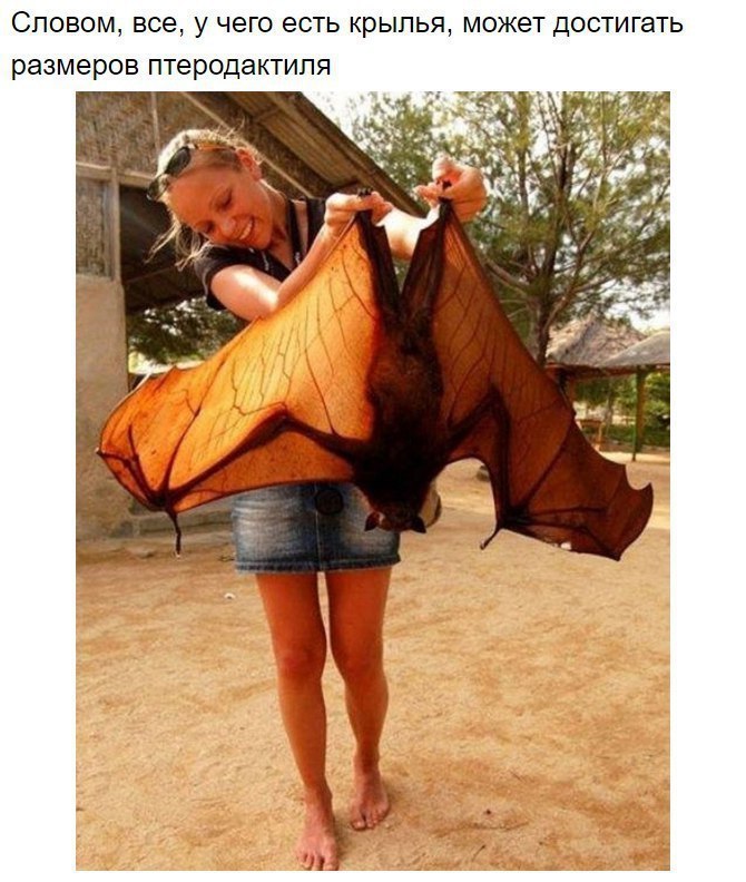 8 ������ ������ ������ ��������� ��������