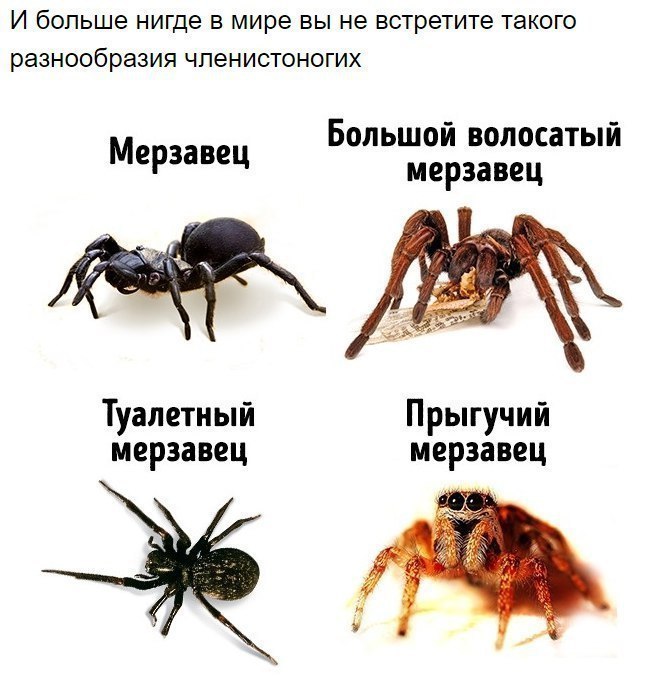 8 ������ ������ ������ ��������� ��������