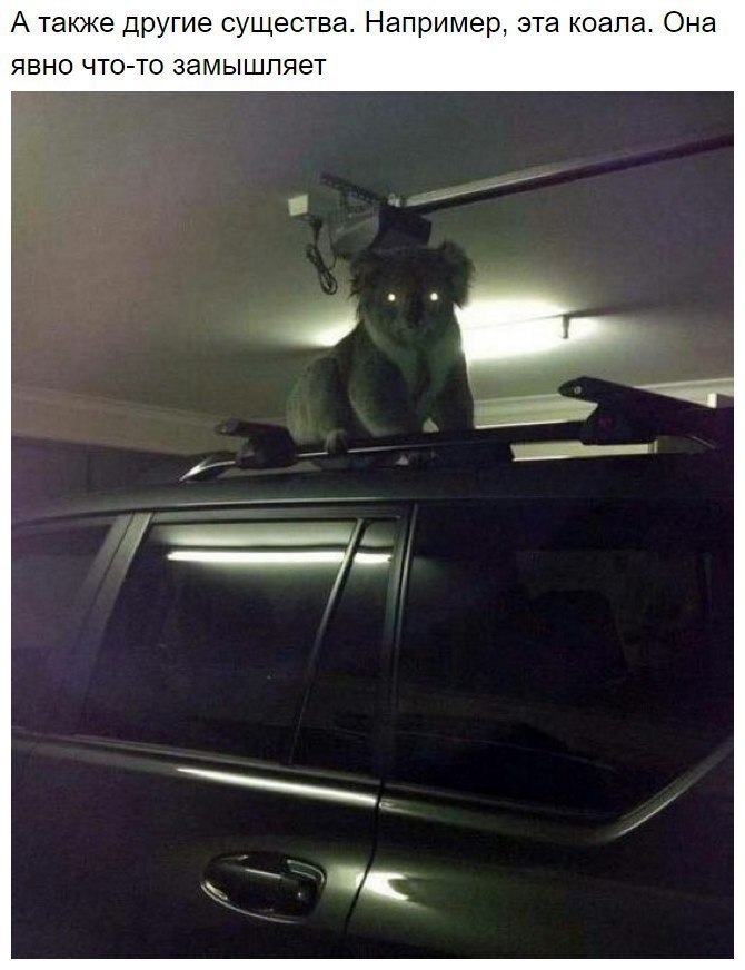 8 ������ ������ ������ ��������� ��������