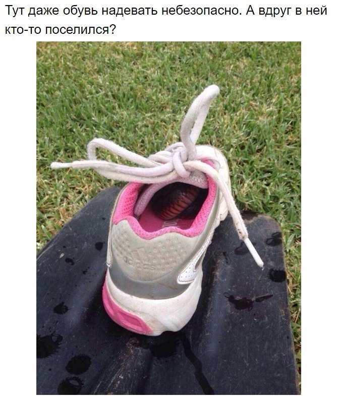 8 ������ ������ ������ ��������� ��������