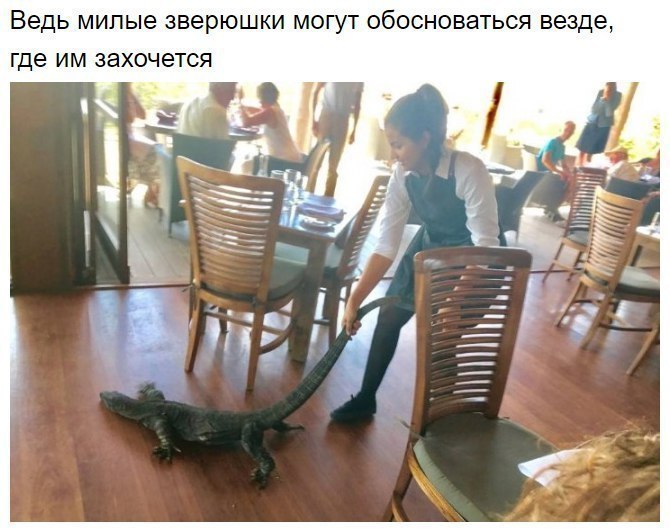 8 ������ ������ ������ ��������� ��������