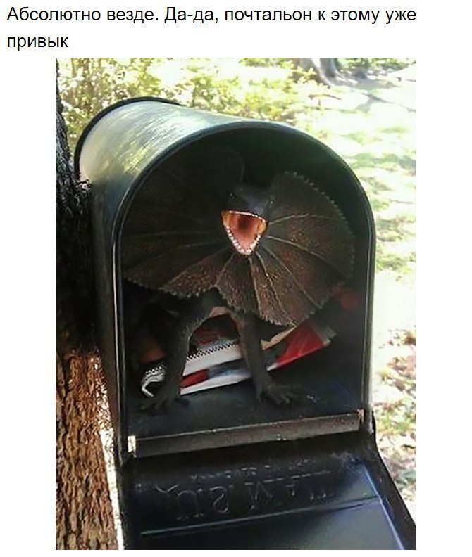 8 ������ ������ ������ ��������� ��������