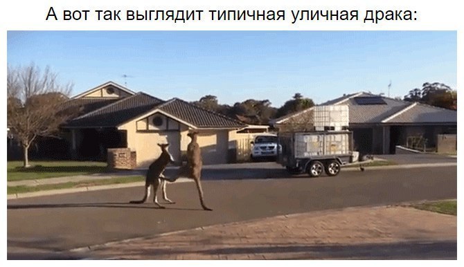 8 ������ ������ ������ ��������� ��������