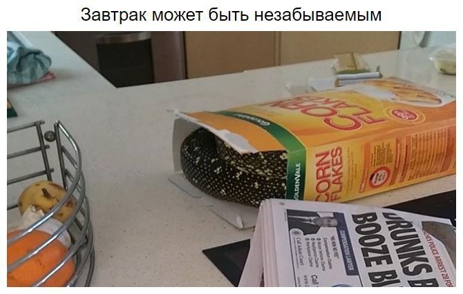 8 ������ ������ ������ ��������� ��������