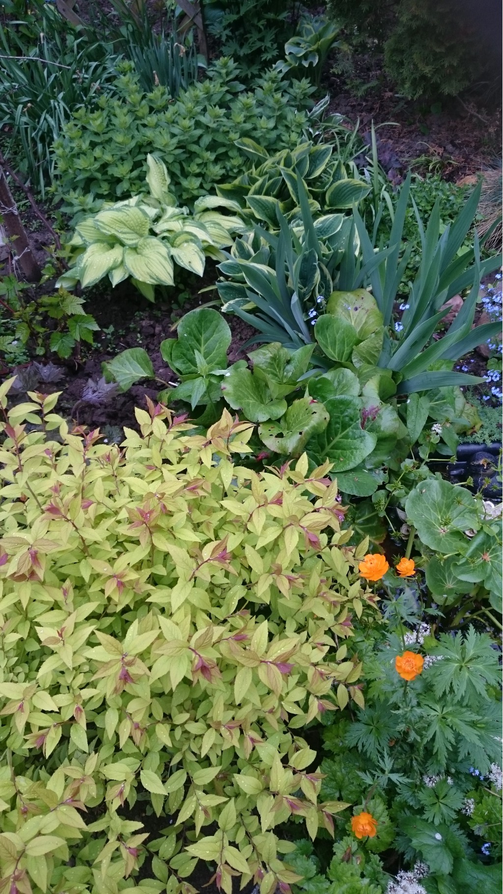 ���� �������. 10.06 ������ ��������! �����, ������������, ����������, ����������. ���� ��� ����, � ����� ������!