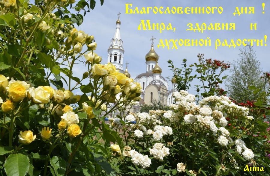 ���  ������  ���� !