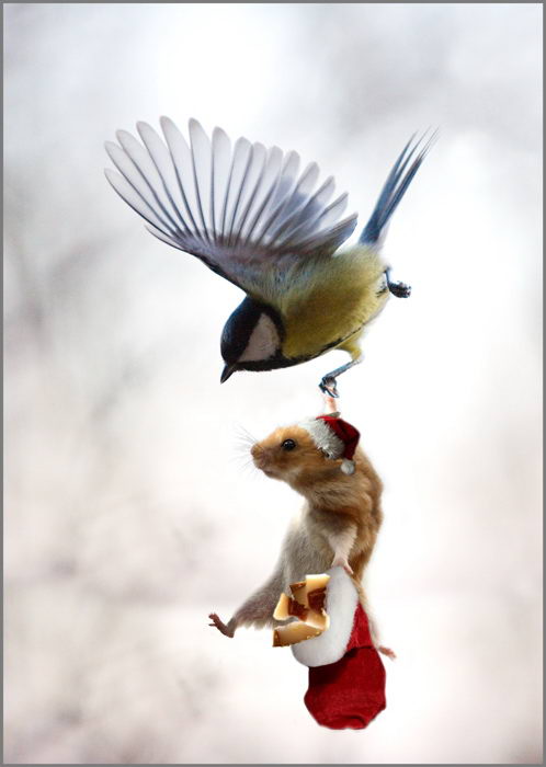 ���� �� 08.06. ������� ����������� ��� ���� � �������� - �� ������ �� �������.��������� ������ �� ��������������� �����- Lit*t*le O*ne, R*i*o, JR F*a*r*m, I*P*T*S/Be*ez*tee*s ���� 49.