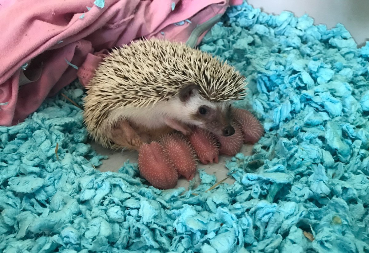 ����� � �������