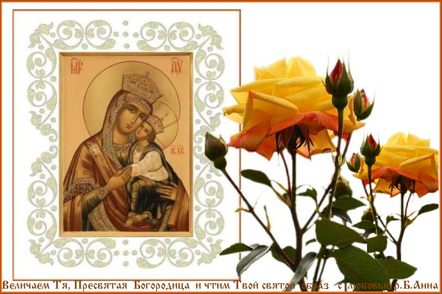 ������  �  ��������������   ���������   ���������� !