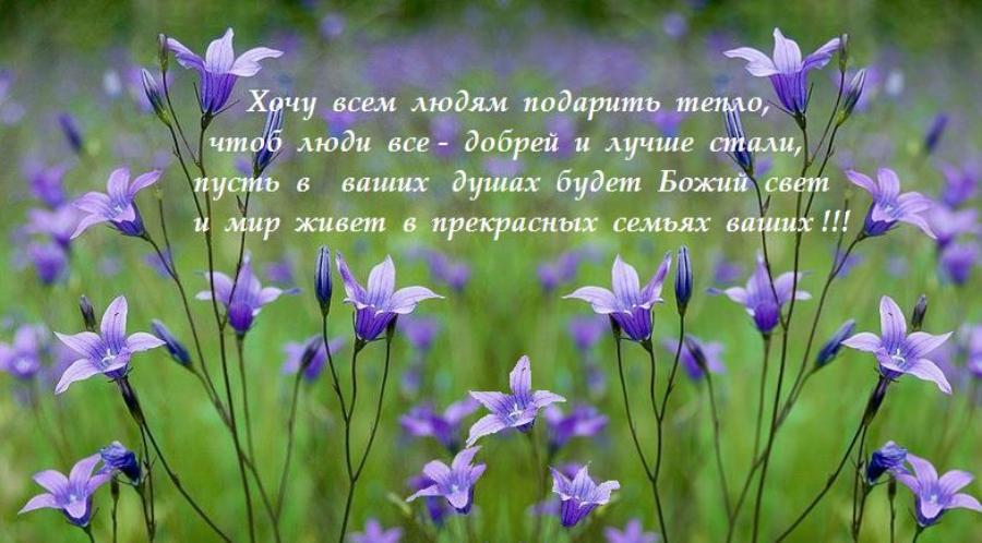 ���������������  ��� !