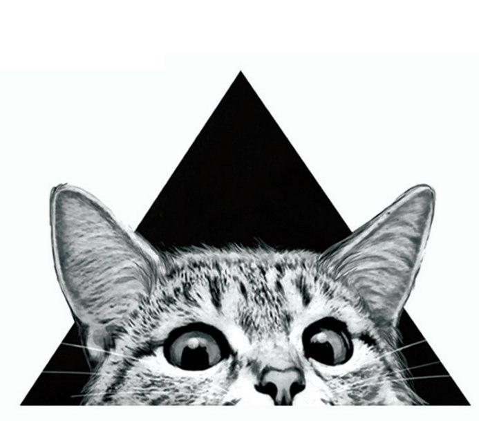 �������������� �� ���� �� 12 ����! ��� ������ �� ��� ������ ���� �� 5 �� �� ��������!