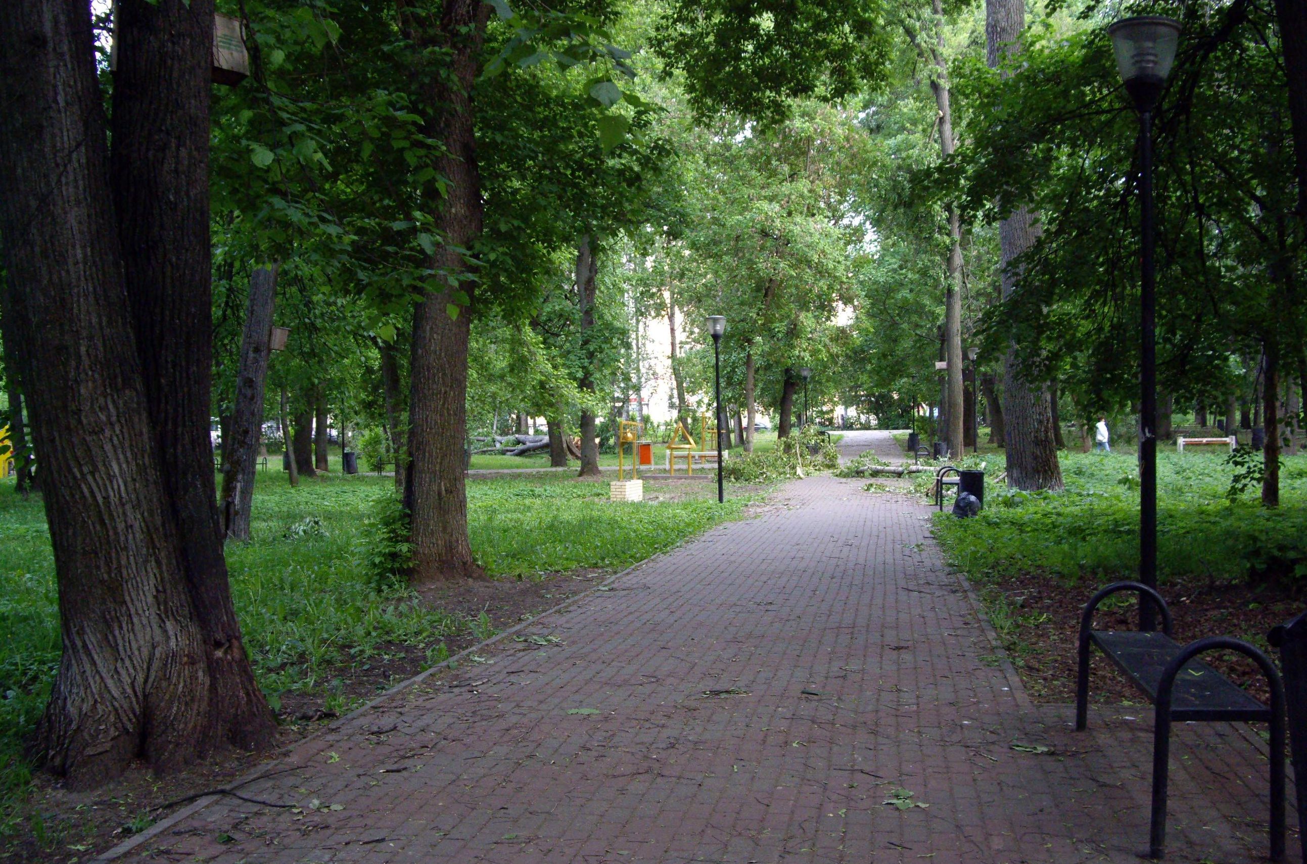 1 ����. ����������� ����