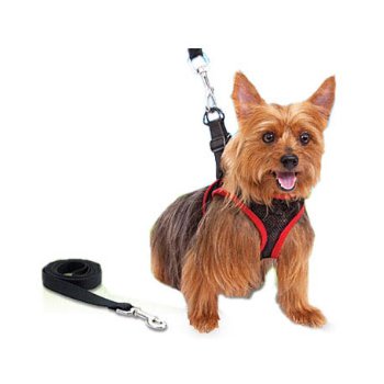 ������ ��� ������� ����� �������! ������ ������� � �������, ��������! �������� Gps-������ ��� ��������!