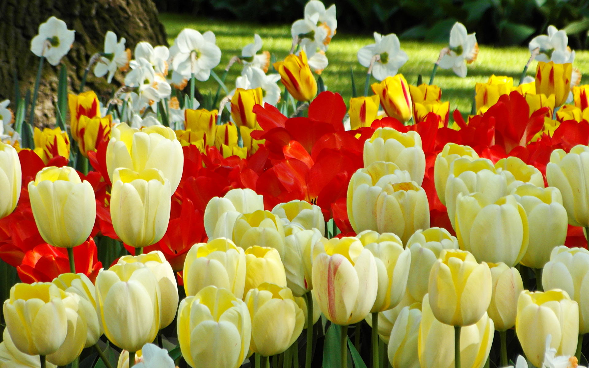 ������� ������������� �������� �� ���������� JUB (������� � ��������)!