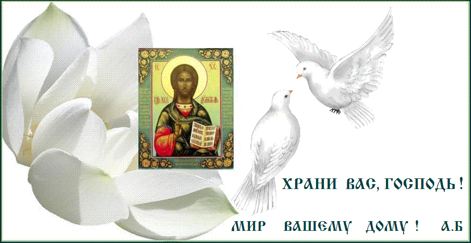 ��� ���� !