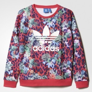 ���� �������. ���������� Adidas � Nilke. ������ � �����, ������ ���������, ������� ��������. ���� 3 ���.
