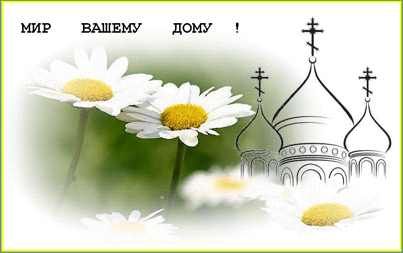 ������  ������  ���� !