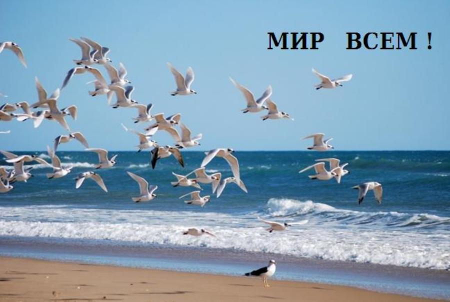 ���  �  ������  ������  ���� !