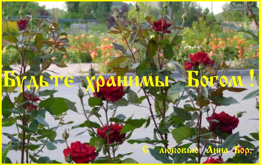 ��� ��� !