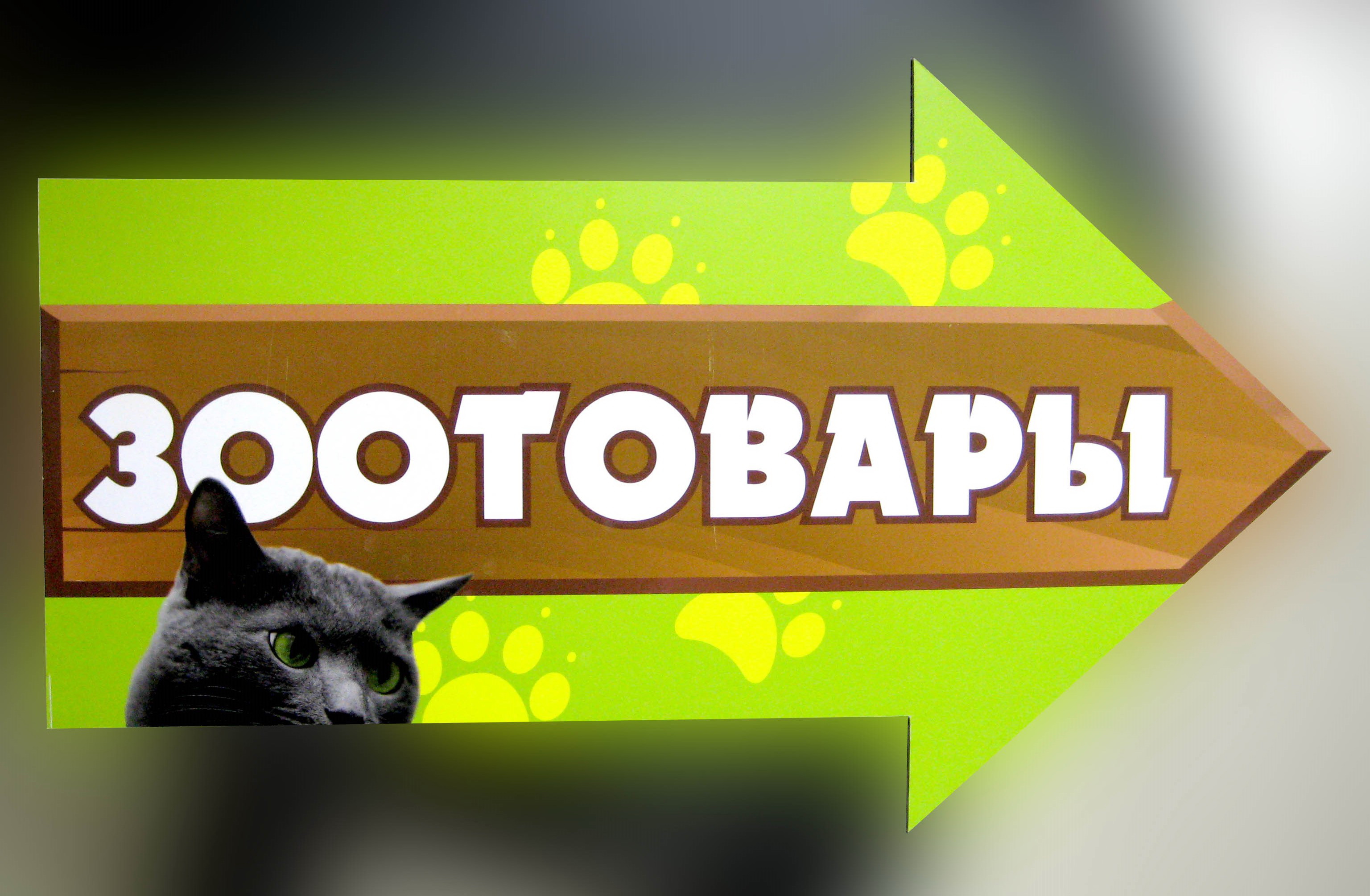 ���� ������� �� 24.06. ��������� 31.