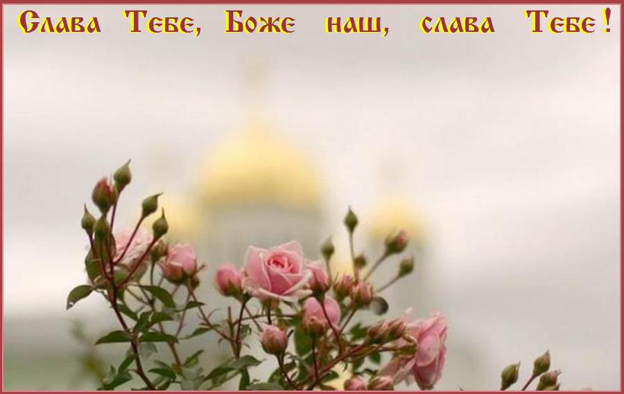 �����  ����,  ����  ���,  �����  ���� !