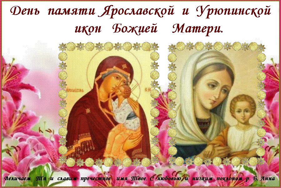 ������  �  ��������������   ���������   ���������� !