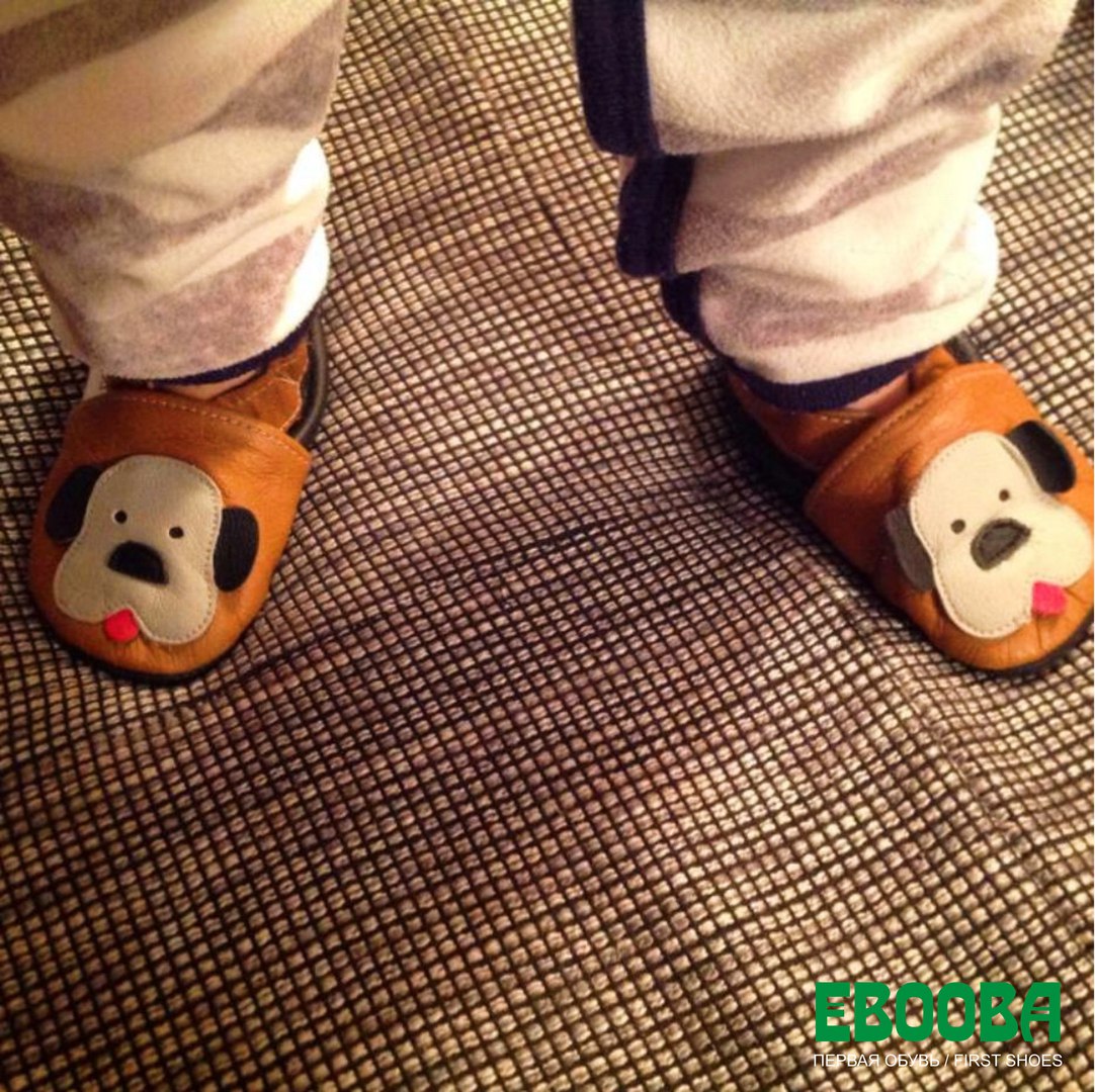 ���� �������. Ebooba. ��������� ������� ����� ������ ������ ��� ����� �� 8 ���. 