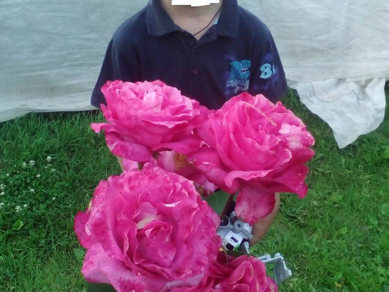 ���� ������� �� 1 ����. �������� ���� ���� �����-��������� �� 70���, ���������, �������� �� 500���, ���������, ���������, �������, ���������, ����� � ������������ ��������