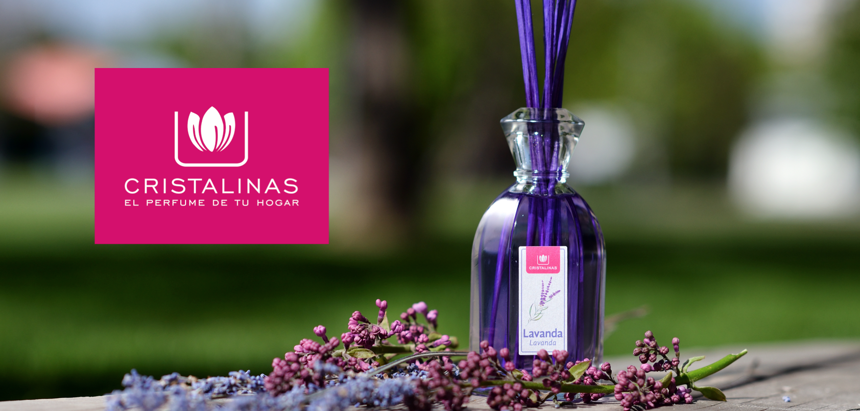 �����-����� ��� ���� ,��� ����. �����������, �� ���������� �������, �� ������� �� ����� ������. ��� ������ �������� ����������� ������ ���������)