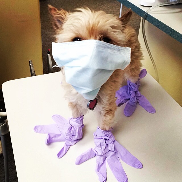 ��������� ������� � ������ ������, ������ ����� ���������.  ���� �� 30/06. ��������� ����������! � ���������� ������!!! ��������: ���������, ����������, ���������! � ��� �� ������ � ����������� �����, � �.�. �������, ��� ������ �� ������� 