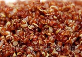 ����� - ��������� ����� ��� ��������. �������� ��������. 