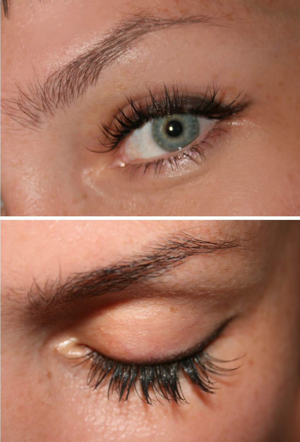 ��. ����������: ����������� ������, ������, ��������. 