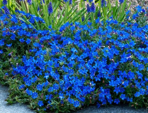 ���� ������� �� 5.07. ��� � ������� ������������ � ������ �����