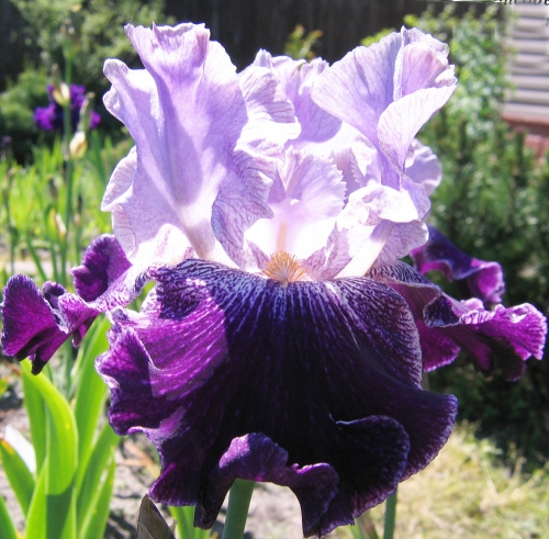 ���� ������� �� 11.07. �������� ���. ����� �� ����������� ��������� �� ��������� �� �������������. ��������� �� ���� 2018/4